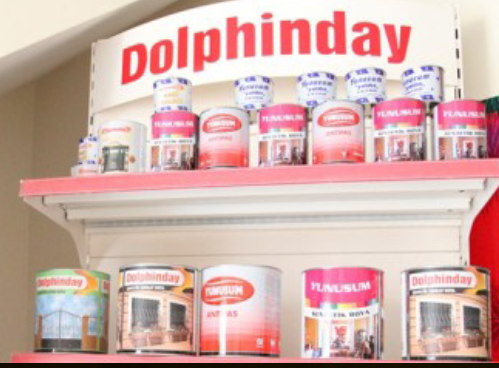 DOLPHİNDAY